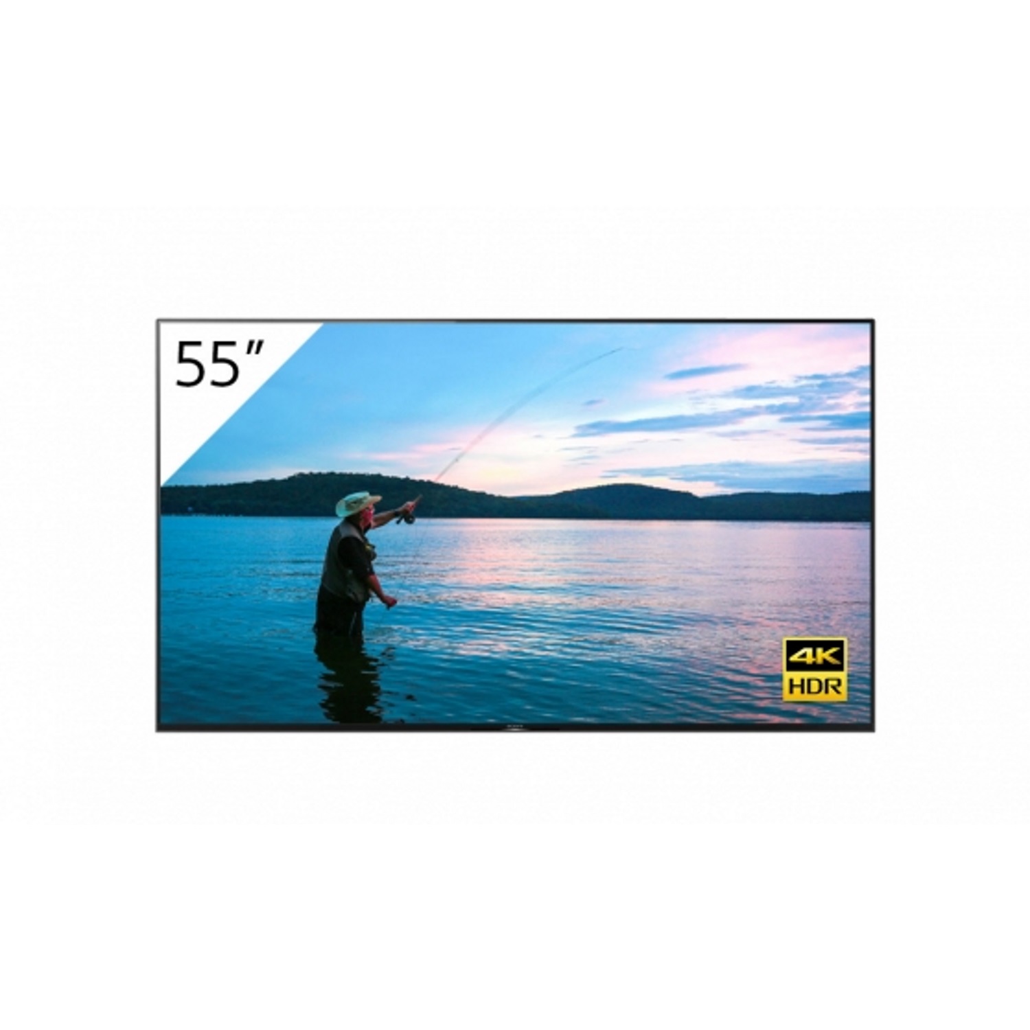 Sony 4K Display FWD-55X95H/T