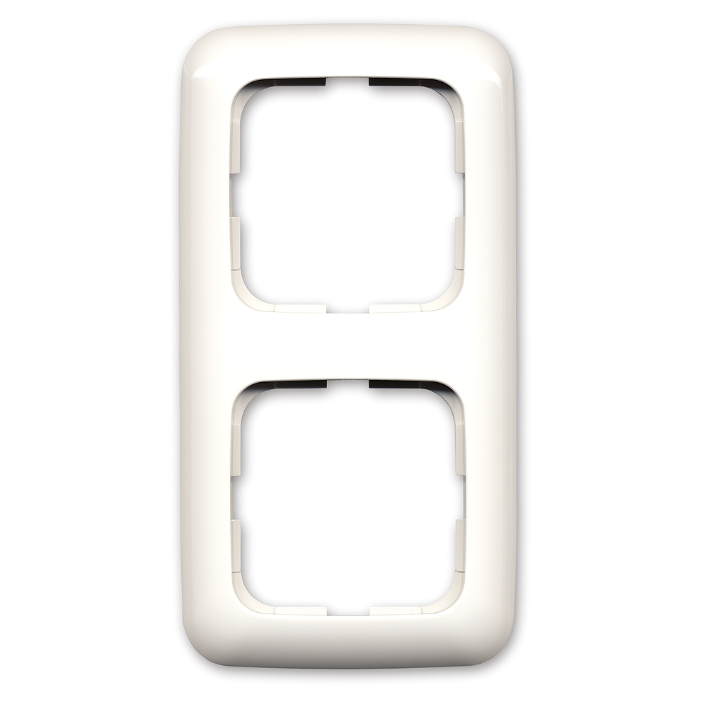 Socket Frame Busch Jaeger, 2-gang